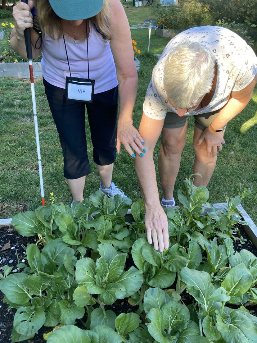 Two People Feeling Plants